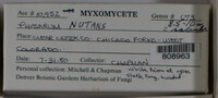 Image Associated With the Occurence